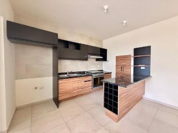 Casa en fraccionamiento en renta Privada Residencial Punto Sur, San Luis Potosí, S.l.p México