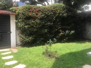 CASA EN INSURGENTES SAN BORJA