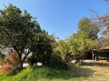 Casa en La Reina