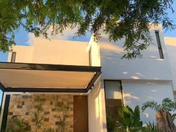 Casa en renta Avenida Yucatán, Del Arco, Mérida, Yucatán, 97138, Mex