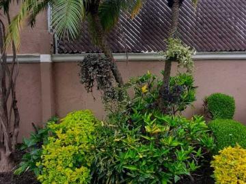 Casa en renta Calle Abraham Zepeda, Fraccionamiento Rancho Cortés, Cuernavaca, Morelos, 62120, Mex