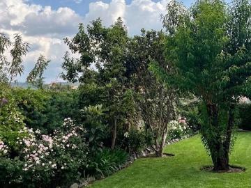 Casa en renta Calle Vega Del Río, Avandaro, Valle De Bravo, Estado De México, 51200, México