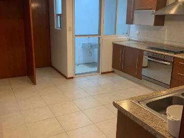 Casa en renta Calle 5 De Mayo, Barrio Santo Entierro, San Andrés Cholula, Puebla, 72848, Mex