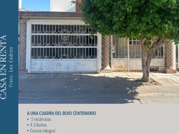 CASA EN RENTA CEDROS