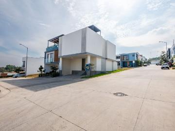 CASA EN RENTA, CEREZOS 100 CAPITA NORTE