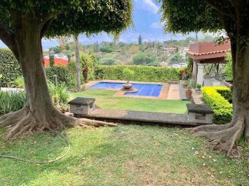 Casa en Renta en Buenavista