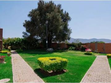 Casa en renta en Centro Jiutepec, Morelos