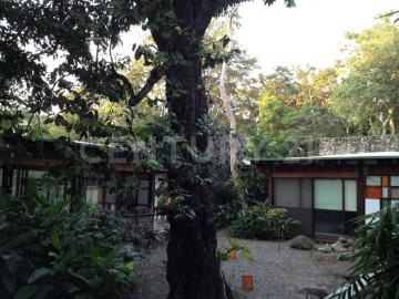 Casa en Renta en el centro de Comala