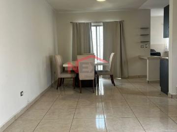 Casa en renta en Fracc. Armillita