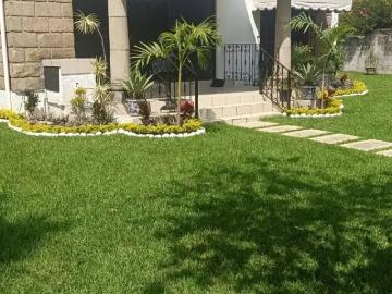 Casa en renta en Las Fincas, Jiutepec, Morelos