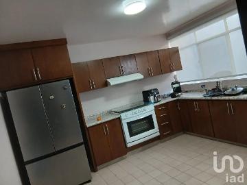Casa en Renta en Las Plazas, Irapuato, Guanajuato