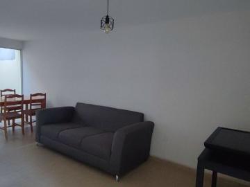 Casa en renta Las Mercedes, San Luis Potosí, San Luis Potosí