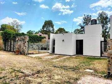 Casa en Renta Lomas de Comanjilla Una Planta Una Recámara Gran Jardín