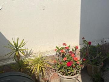 Casa en renta Lomas De Tarango, Álvaro Obregón, Cdmx