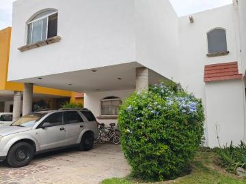 Casa en renta Quintana Roo 143, De Tequisquiapan, San Luis Potosí, México
