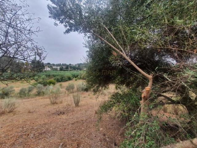 Casa en venta Málaga