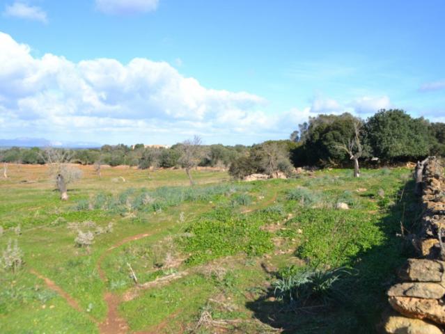 Casa en venta Manacor