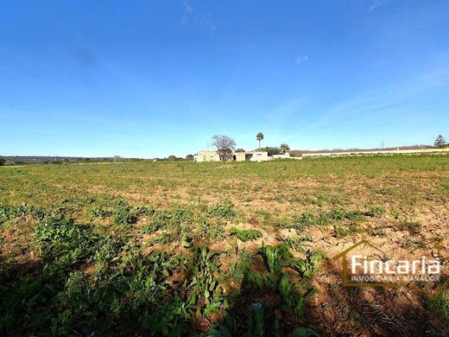 Casa en venta Manacor
