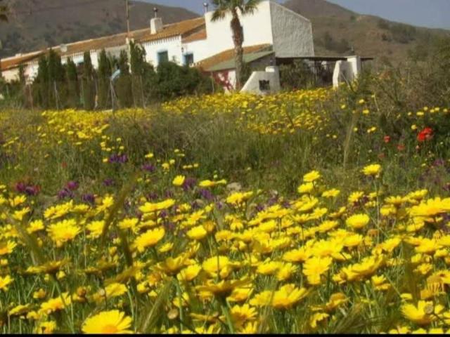 Casa en venta Mazarrón
