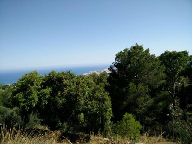 Casa en venta Mijas