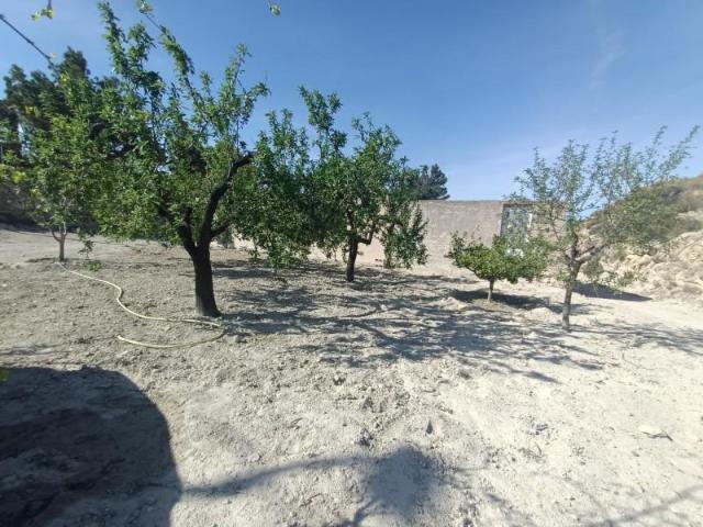 Casa en venta Molina de Segura