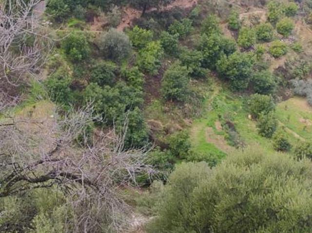 Casa en venta Monda
