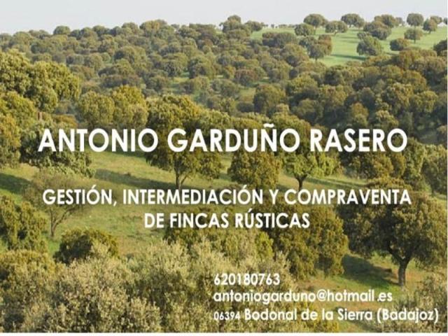Casa en venta Monesterio