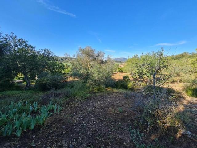 Casa en venta Montuïri