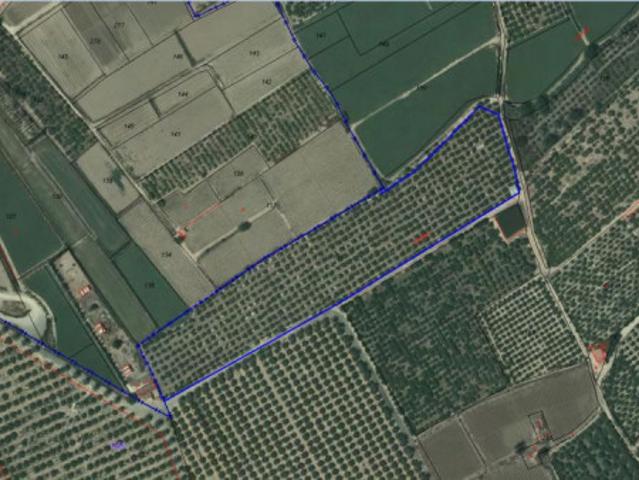 Casa en venta Orihuela