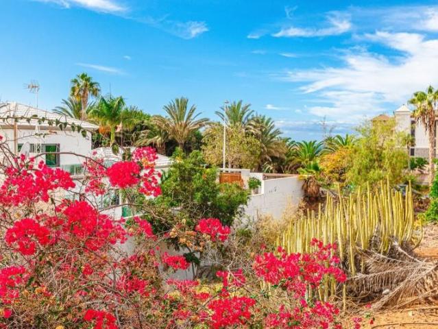 Casa en venta Adeje