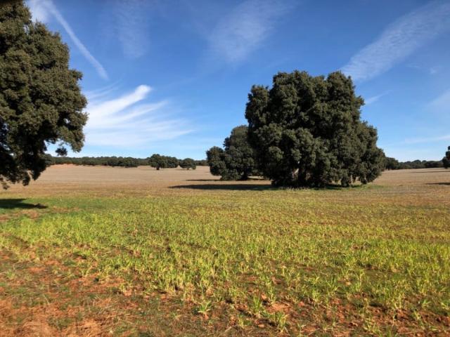 Casa en venta Albacete