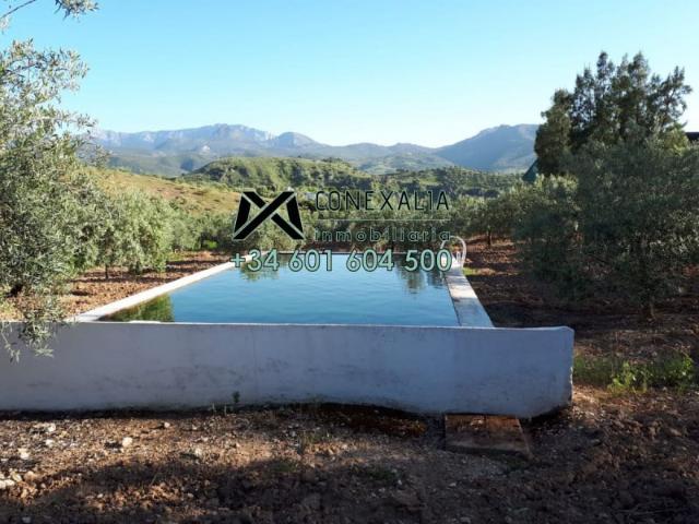 Casa en venta Algodonales
