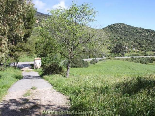 Casa en venta Algodonales