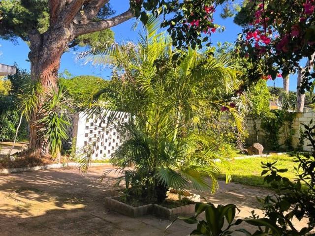 Casa en venta Algeciras