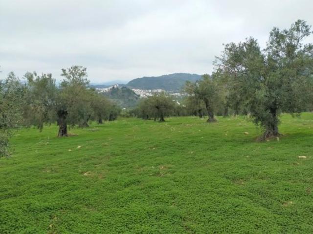Casa en venta Alozaina