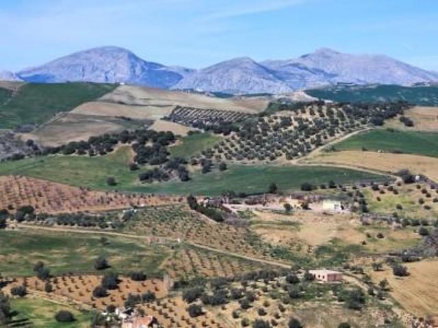 Casa en venta Antequera