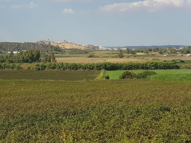 Casa en venta Arcos de la Frontera