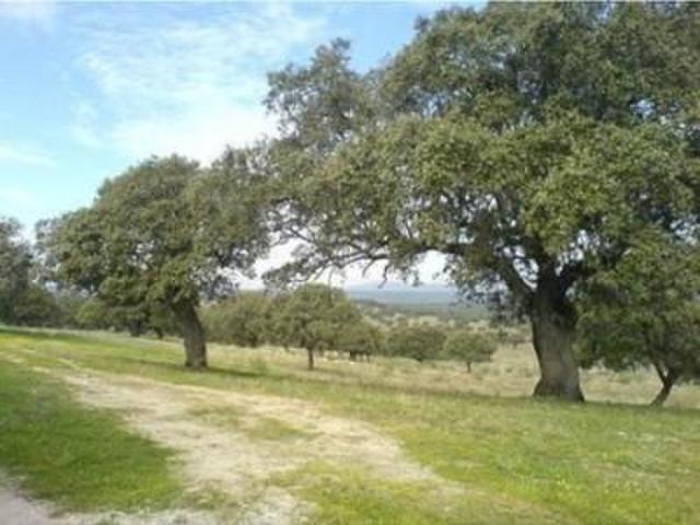 Casa en venta Badajoz
