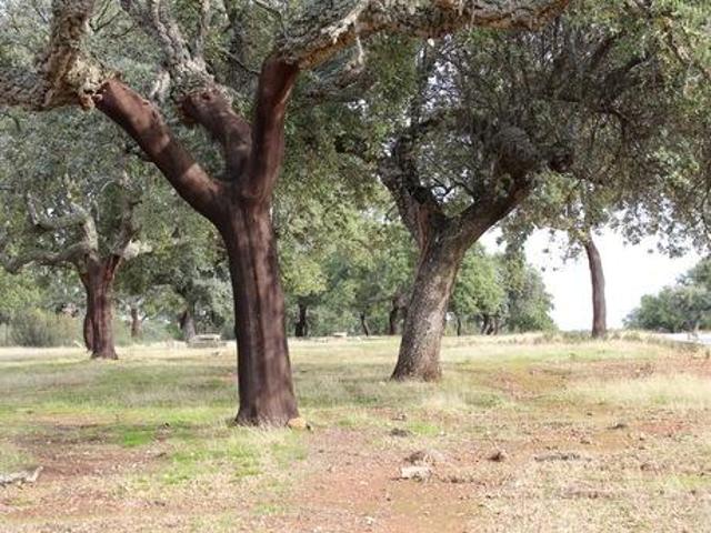 Casa en venta Badajoz