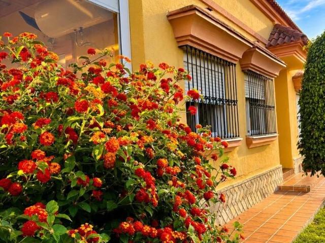 Casa en venta Bormujos