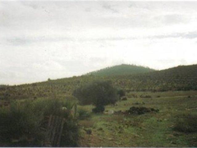 Casa en venta Cabezas Rubias