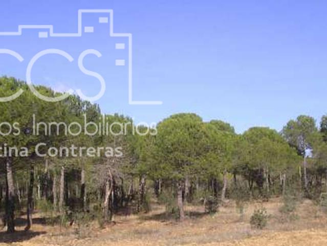 Casa en venta Cabezas Rubias