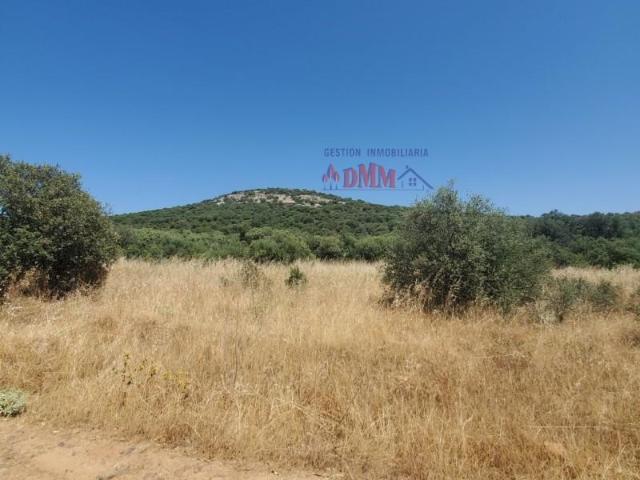 Casa en venta Ciudad Real