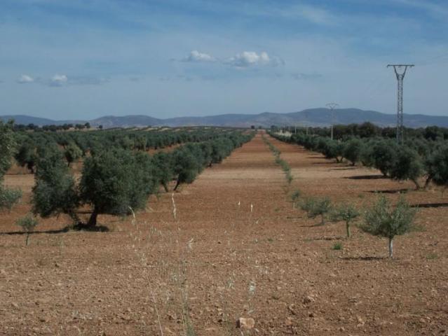 Casa en venta Ciudad Real