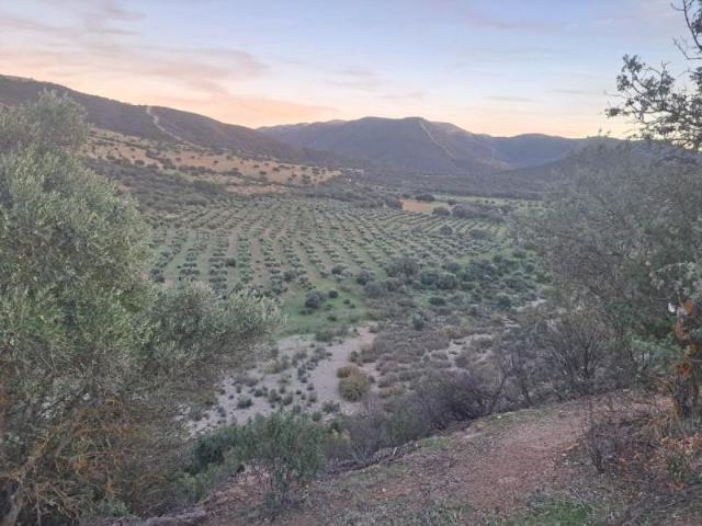 Casa en venta Ciudad Real