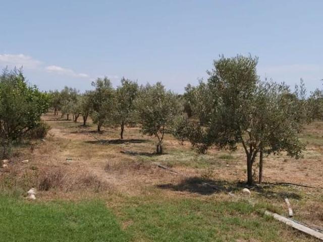 Casa en venta Ciutadella de Menorca