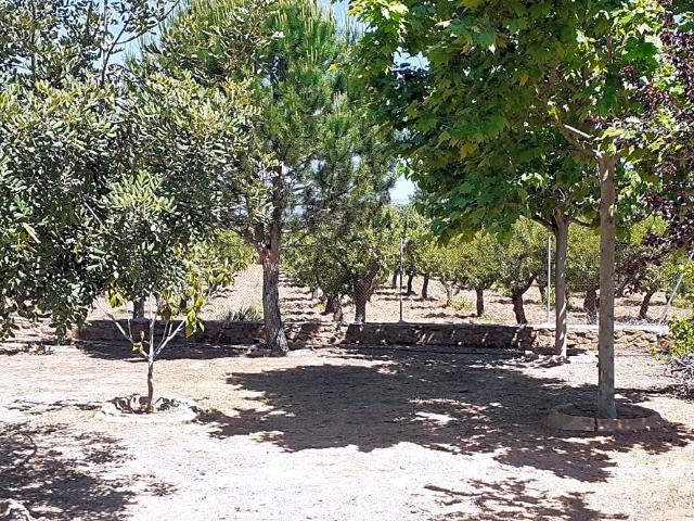 Casa en venta con 98 m2, 2 dormitorios en La Ribera de Cabanes El Borseral