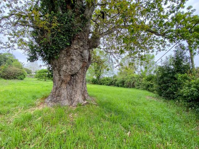 Casa en venta con 266 m2, 3 dormitorios en Periurbano Rural Gijón