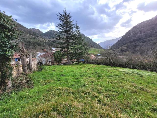 Casa en venta con 300 m2, 4 dormitorios en Otras zonas de Cabrales Cabrales