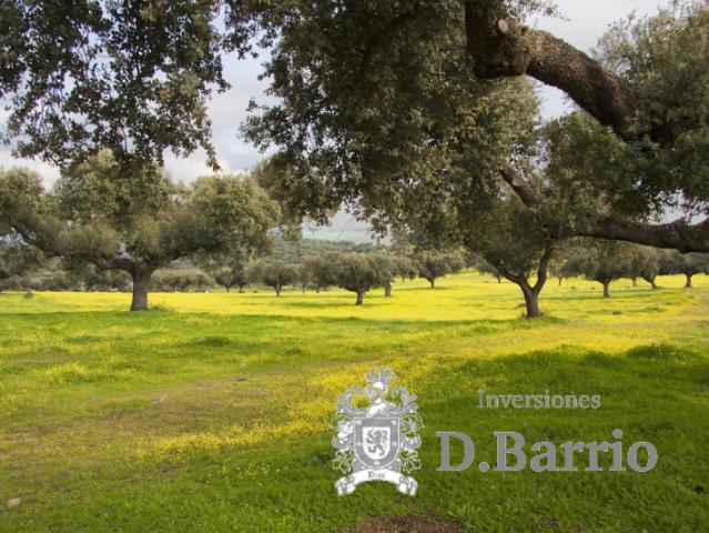 Casa en venta Córdoba